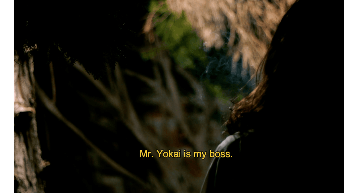 Rodaje Dekaelo Media